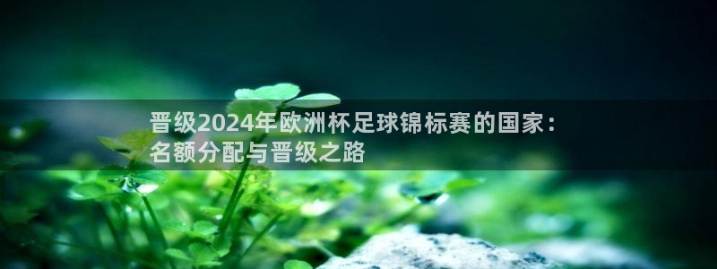 2024欧洲杯官方网站首页：晋级2024年欧洲杯足球锦标赛的国家：
名额分配与晋级之路