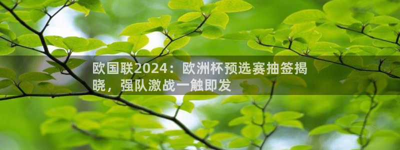 欧洲杯下单网址：欧国联2024：欧洲杯预选赛抽签揭
晓，强队激战一触即发