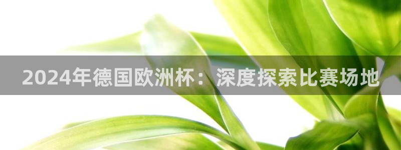 欧洲杯竞猜手机app推荐|2024年德国欧洲杯：深度探索比赛场地