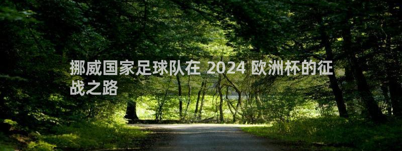 欧洲杯买球手机app|挪威国家足球队在 2024 欧洲杯的征
战之路