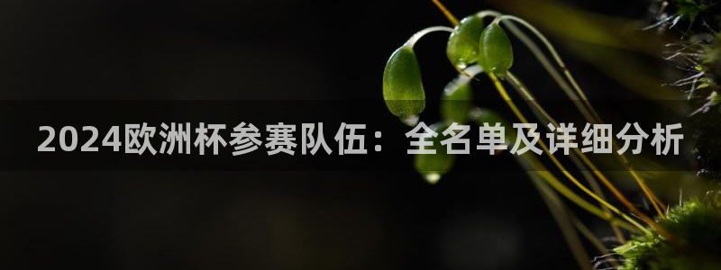 欧洲杯竞猜网站|2024欧洲杯参赛队伍：全名单及详细分析