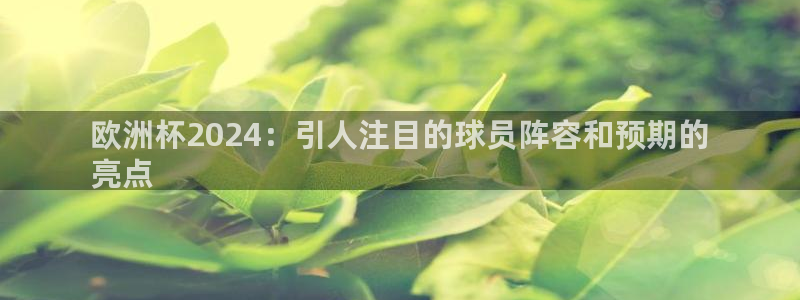 欧洲杯下单平台官方网站