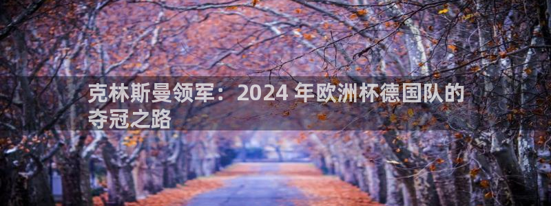 欧洲杯下单平台官网|克林斯曼领军：2024 年欧洲杯德国队的
夺冠之路