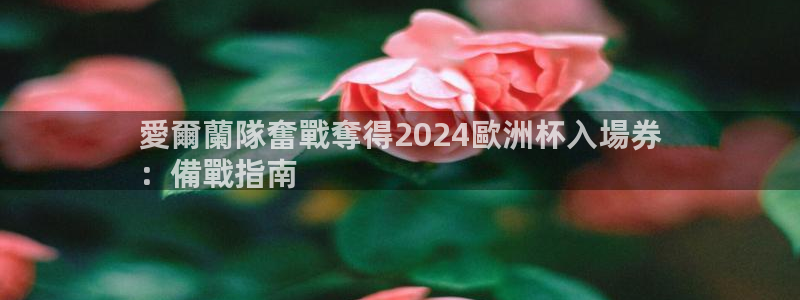 欧洲杯下单网址|愛爾蘭隊奮戰奪得2024歐洲杯入場券
：備戰指南