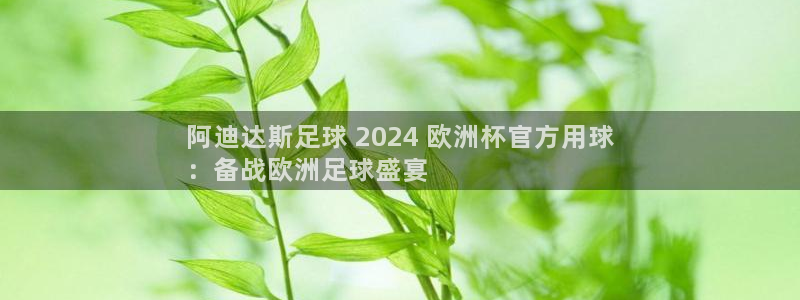 欧洲杯下单平台官网网址|阿迪达斯足球 2024 欧洲杯官方用球
：备战欧洲足球盛宴