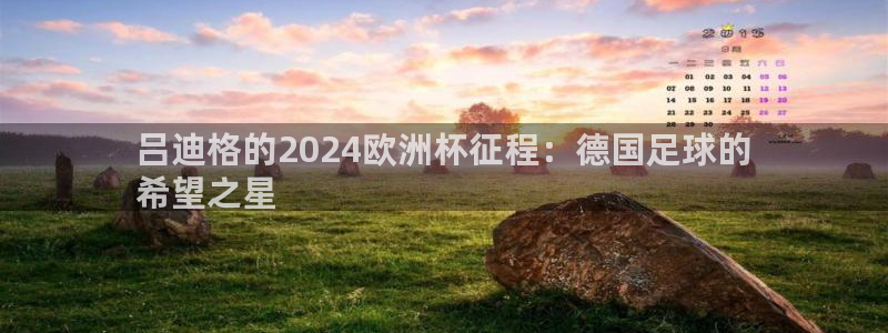 欧洲杯买球手机app|吕迪格的2024欧洲杯征程：德国足球的
希望之星